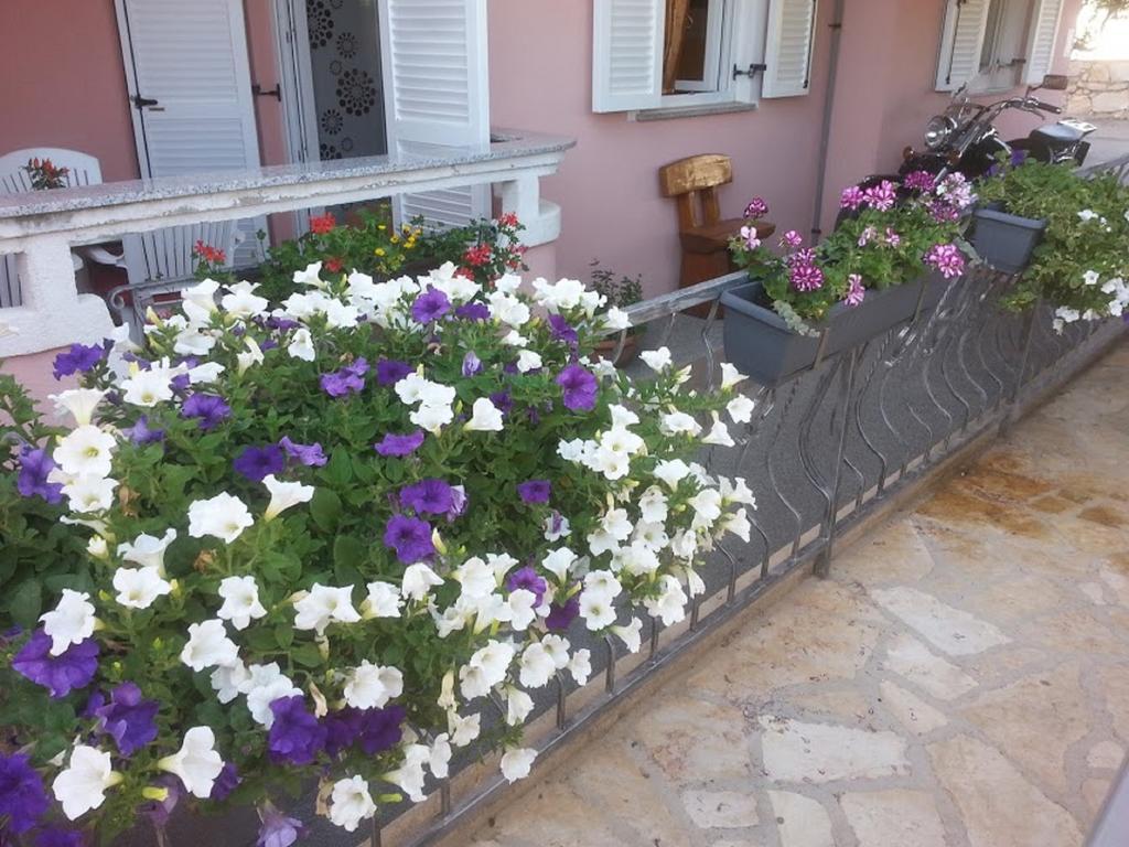 Apartment Roxsi *
